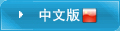 中文版